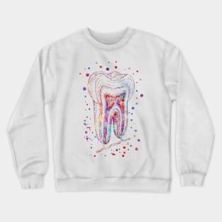 Human tooth structure Crewneck Sweatshirt